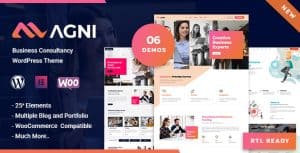 Download Agni - Consulting Business