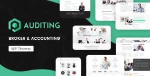 Download Auditing | Accounting Consultant
