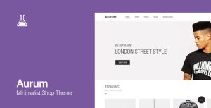 Download Aurum - Minimalist Shopping Theme