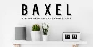 Download Baxel - Minimal Blog Theme for WordPress