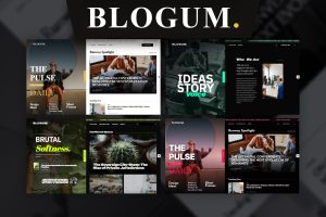 Download Blogum GPL WordPress Plugin