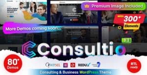 Download Consultio - Consulting Corporate