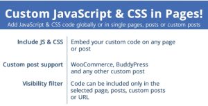Download Custom JavaScript & CSS in Pages