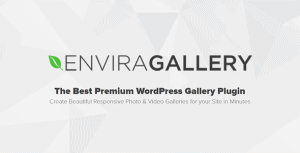 Download Envira Gallery WordPress Plugin and Addons