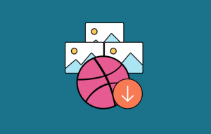 Download Envira Gallery - Dribbble Addon GPL WordPress Plugin