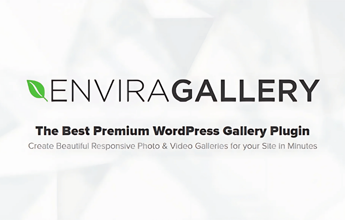 Download Envira Gallery - Google Photos Addon GPL WordPress Plugin