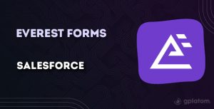 Download Everest Forms Salesforce