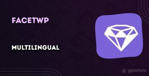 Download FacetWP - Multilingual support