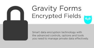 Download Gravity Forms Encrypted Fields