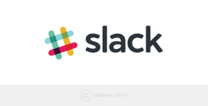 Download Gravity Forms Slack Addon