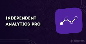 Download Independent Analytics Pro