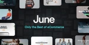 Download June - WooCommerce Theme