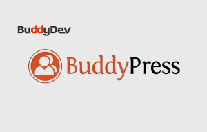 Download MediaPress - Paid Memberships Pro Storage Limit GPL WordPress Plugin