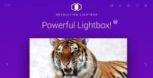 Download Revolution Lightbox WordPress Plugin