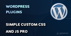 Download Simple Custom CSS and JS PRO